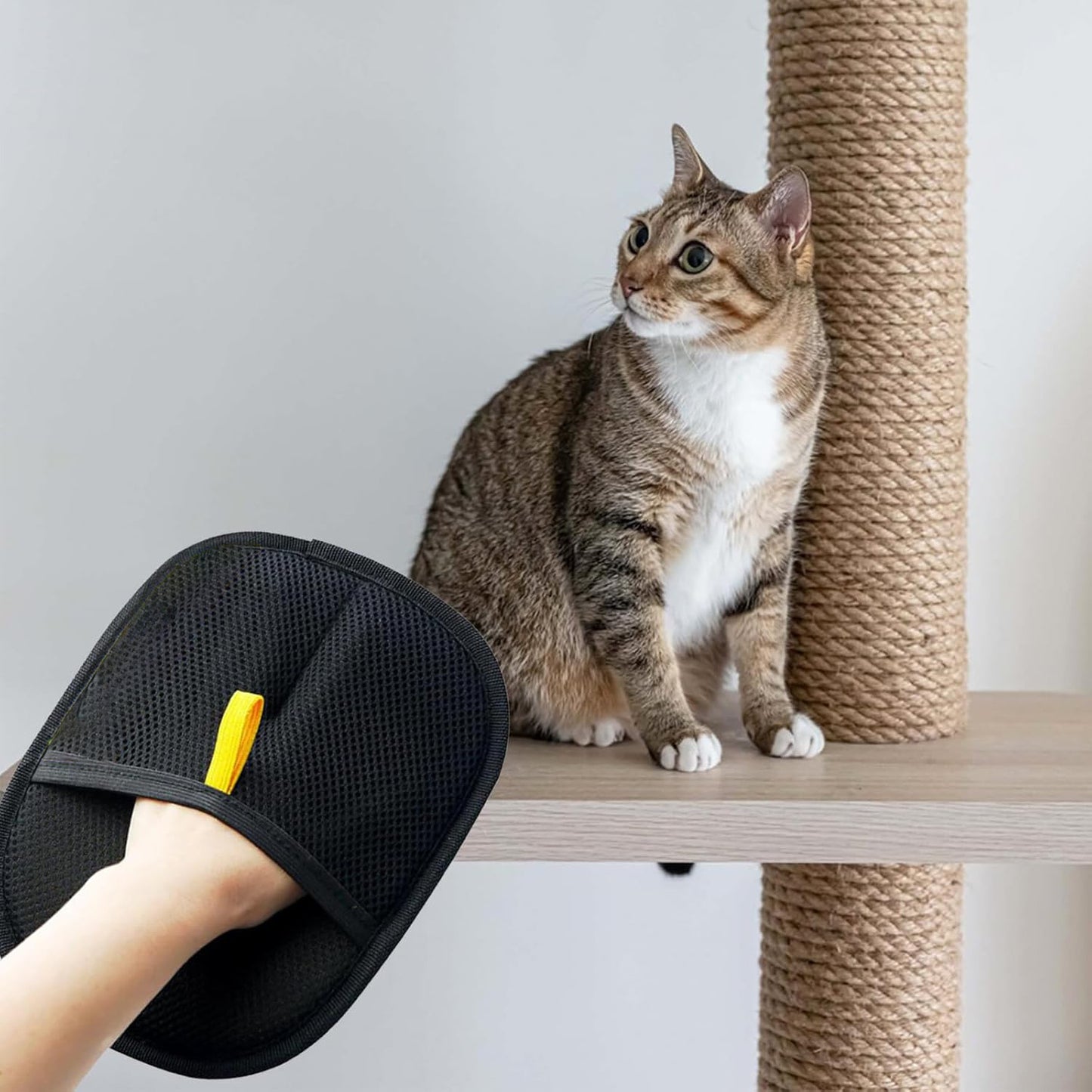 Electrostatic Pet Hair Remover Glove. Cat Hair Remover Glove, Two-Way Bristle Brush